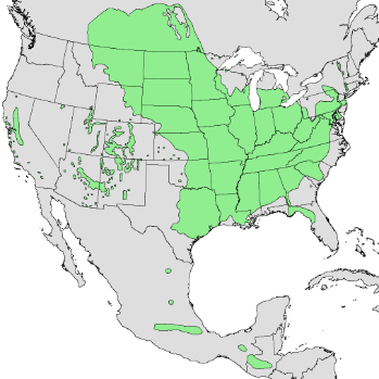Acer negundo range map