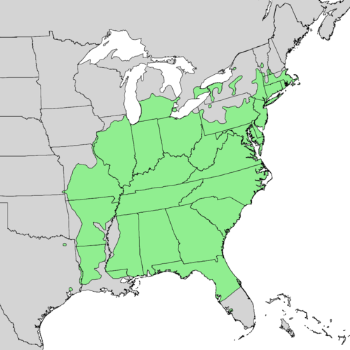 Carya glabra range map