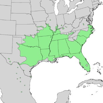Celtis laevigata range map