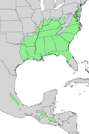 Sweetgum range map