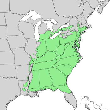 Yellow-poplar range map