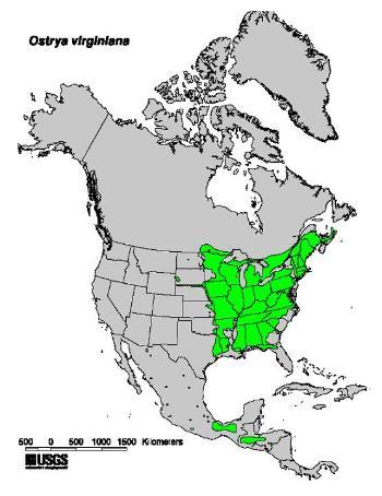 Ostrya virginiana range map