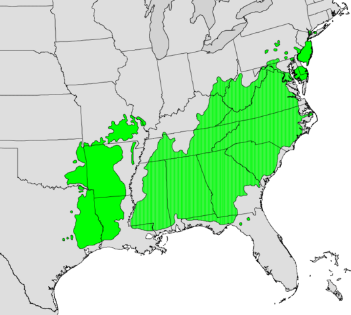 Pinus echinata range map