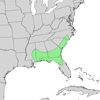 Quercus austrina range map
