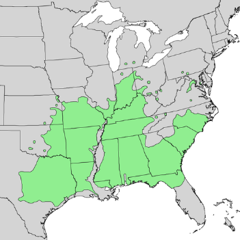 Quercus shumardii range map