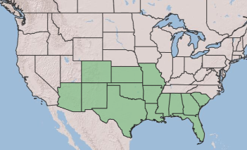 Sapindus Saponaria range map