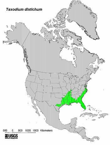 Taxodium distichum range map