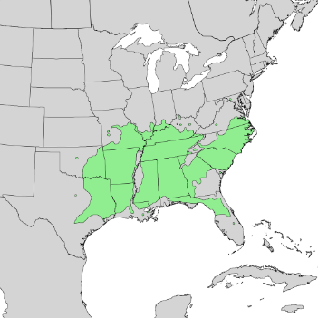 Winged elm range map