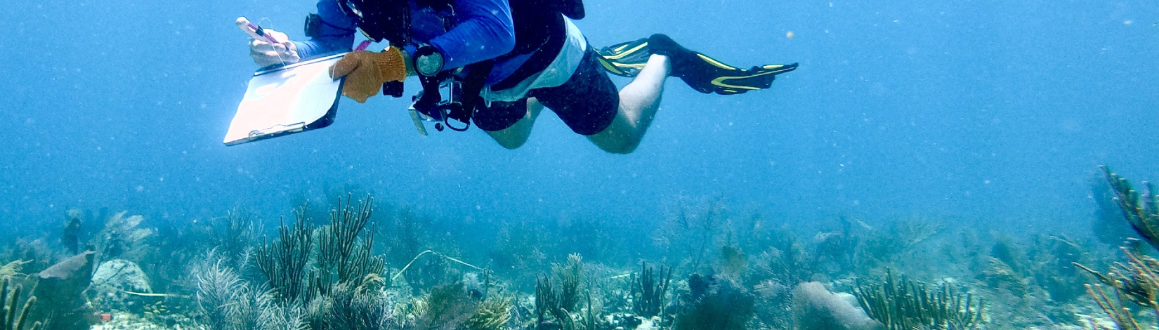 researcher SCUBA diving in waterway