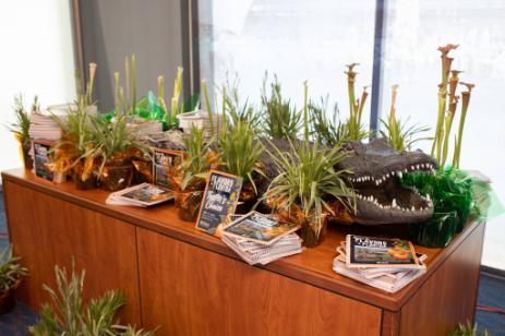 Native plants and flyers in a decorative display with a gator head.