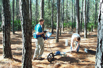 researchers collecting samples in the forest
