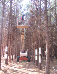 scientists using construction equipment in the forest to study trees and natural elements